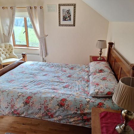 The Attic Apartment Kilkenny Exterior photo